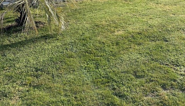 Maison sur le Bassin d Arcachon