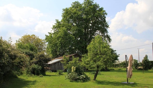 Maison Théodar - Charmante Toulousaine