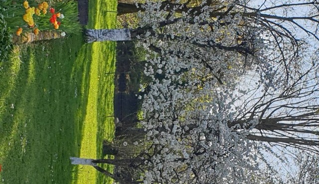 Maison theuriot By the river