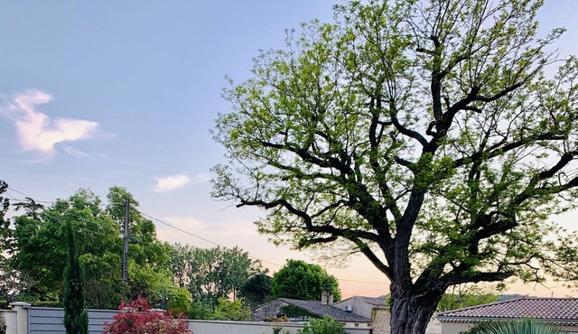 Maison Tout Confort Avec Piscine