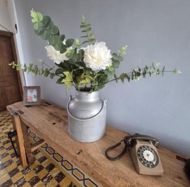 Maison traditionnelle Tarn 10 couchages, campagne cascade 30 min Sidobre 45min Albi