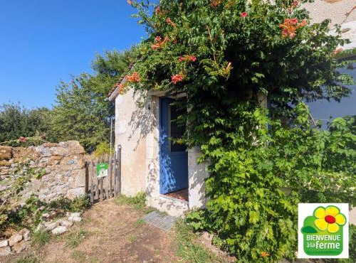 Maison typique en Berry avec jardin privatif, BBQ et parking - FR-1-591-598