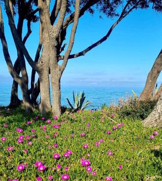 Maison U nidu à 500m de la mer