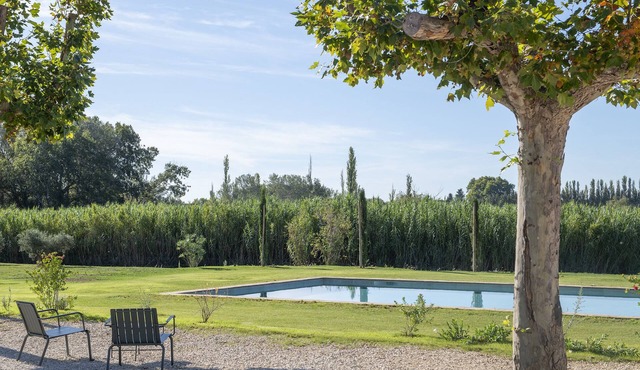 Maison Violette Paradou - pool - garden