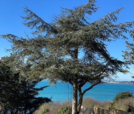 Maison vue exeptionnelle sur la mer