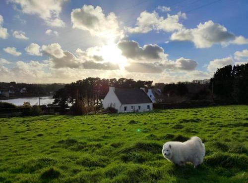 Maison vue mer à Plouguerneau