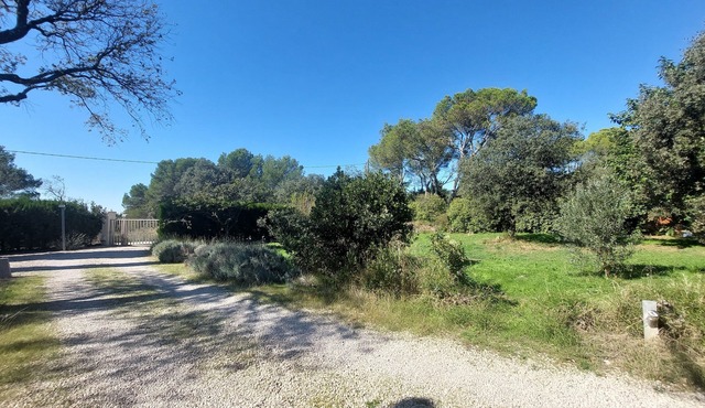 Maisonnette L'olivier du Luberon