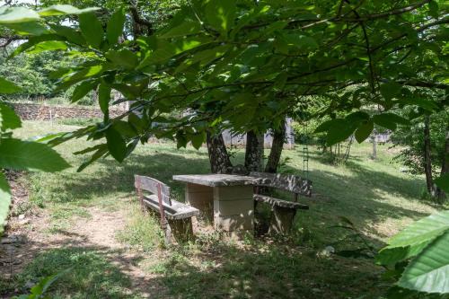 Maisons Cozy - Mas Lachamp