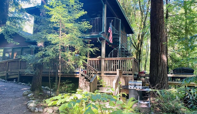 Majestic River Front Cabin (w/2 bedroom guest cottage)