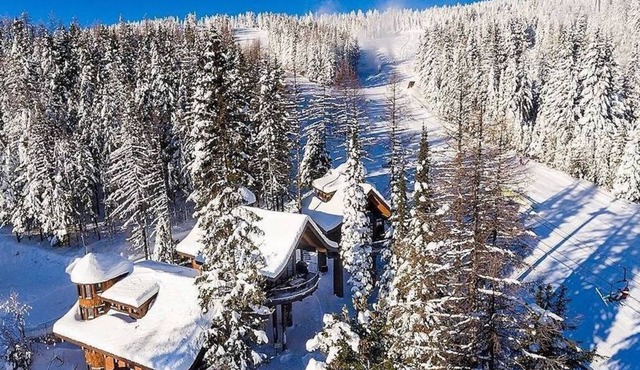 Make Memories at this luxe treehouse; hot tub; PS5; direct trail/slope access