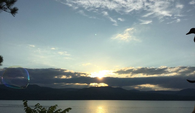 Make memories in this beautiful, 6-bedroom house right on Lake George!