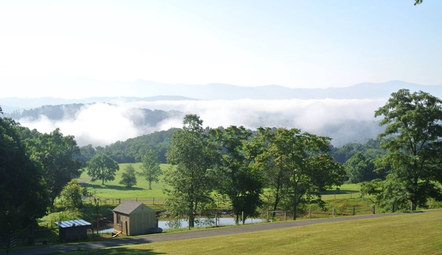 Make memories to last a lifetime.