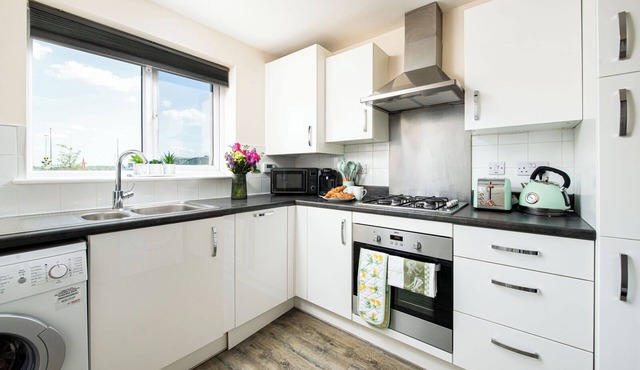 Make some memories at this unique city oasis, pet friendly and free parking.