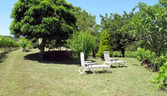 Malbosc by Interhome