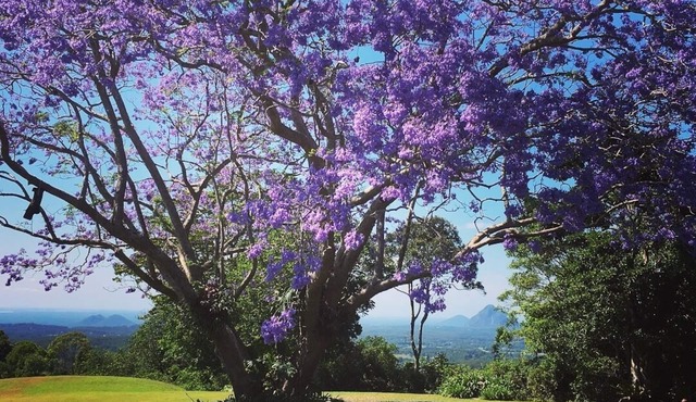 Maleny - 3 bedroom house with Outstanding Sunshine Coast Hinterland Views