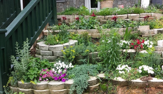 Malolo Bed and Breakfast