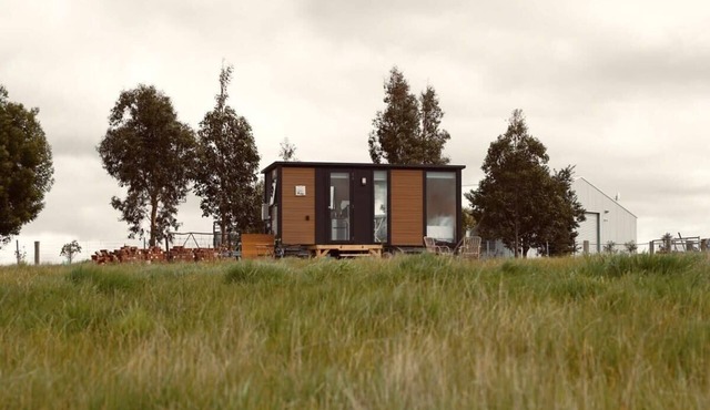 Maluridae Creek Views by Tiny Away