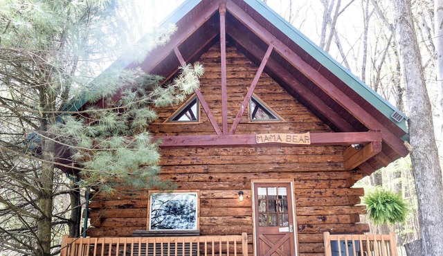 Mama Bear Log Cabin near Cook Forest State Park