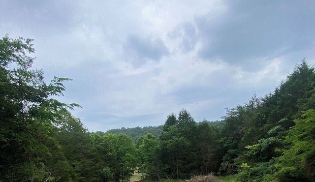 Mammoth Cave Campsite Bliss
