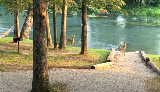 Mammoth Spring Retreat. Gated for privacy, Five cabins, one price. On the River