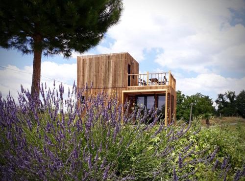 Manège de la Chapinière - DadaLoge tiny-house