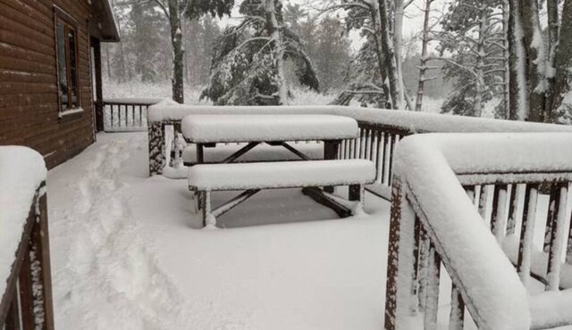 !Manistee River Log Cabin!