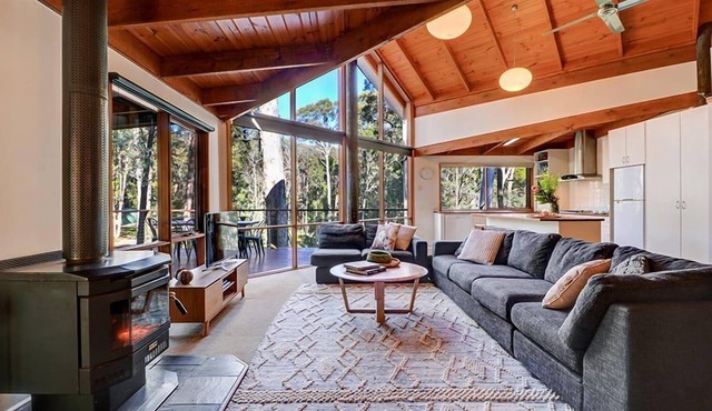 Manna Gum - Base of Buller