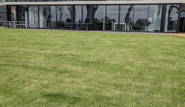 Mannum Holiday Rental on the Rivern family friendly skiing,boating and jet ski