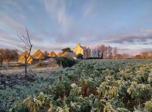 Manoir de kerozet - Chambres chez l'habitant - 3 chiens