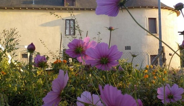 Manoir de la Guignardiere - Charme et Douceur