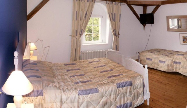 Manoir François 1er Iris