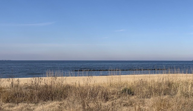 Manor and Mutts #2 - Beach Front, Pet Friendly, Wi-Fi, Parking, W/D, King Bed