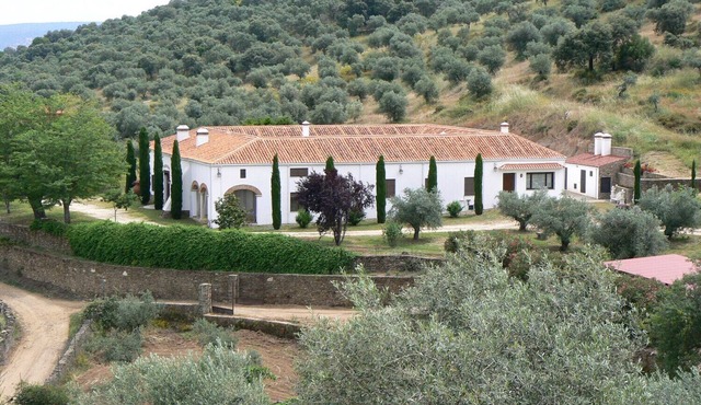 Manor house among cypresses and olive trees