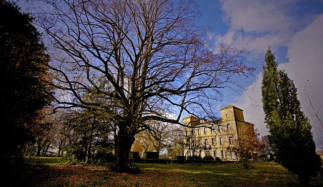 Manor house in a quiet location with pool, near Albi