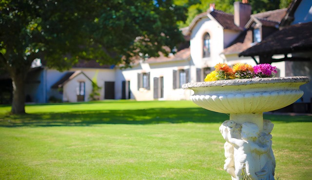 Manor in the Countryside: An Exceptional Stay Amidst Nature, History, and Warmth