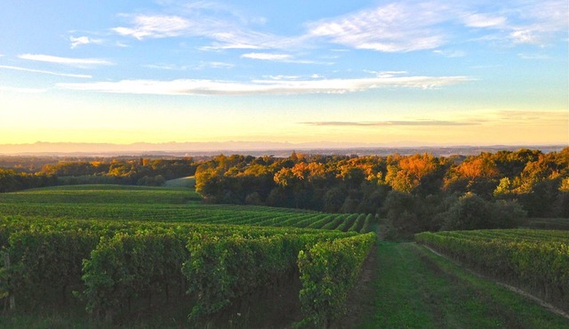 manor in the countryside 175m s /charming site near leisure and festivals