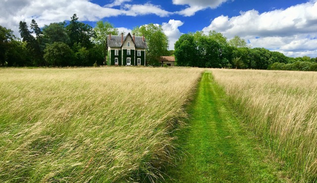 Manor of Sologne to pay of the castles