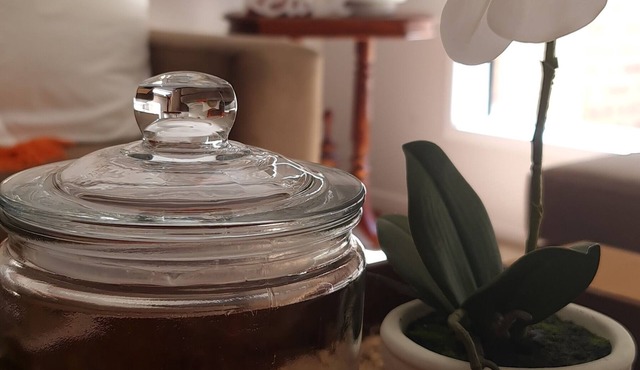 Mansfield House with Solar Heated Pool - Pet & Disable Friendly