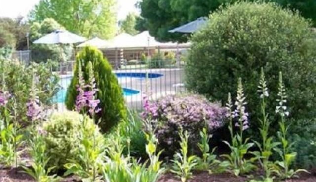 Mansfield Valley Motor Inn