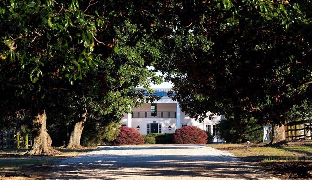 Mansion in Southern Pines - Saltwater Pool, Farm Animals, Golf