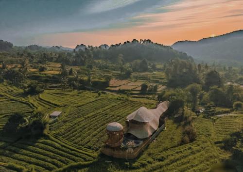 manta family sidemen