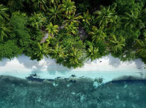 Manta Homestay - Raja Ampat