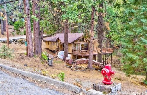 ManVee at Yosemite