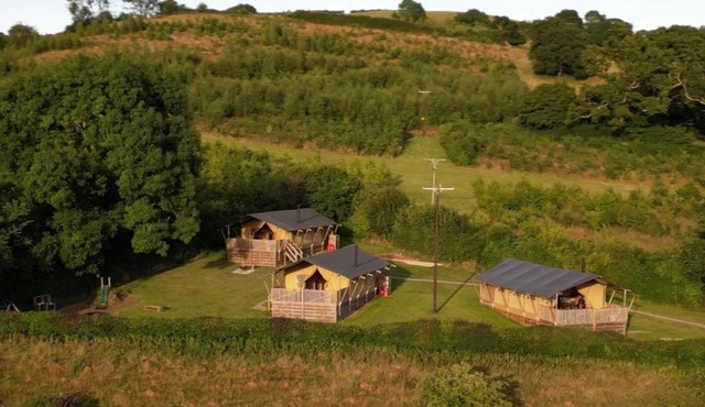 Maple, Birch and Oak Safari Tent, three family friendly tent in Devon