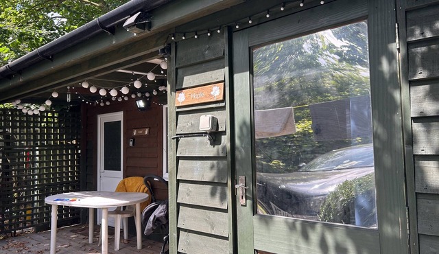 Maple by Paymán Club