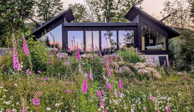 Maple Falls Cabin #58 - Wi-Fi - Pets Ok - Views - VC - Sauna - Soaker Tub