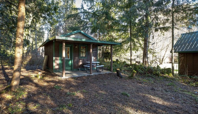Maple Falls Cabin #72 - Sleeps 2 - Pets Ok