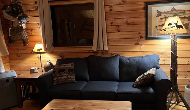 Maple Leaf Charming log cabin in the woods UPGRADED WITH FIBER OPTIC INTERNET