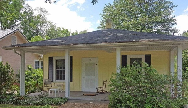 Maple Street Dogs OK, single level home, walk to DT Brevard, free Biltmore pass