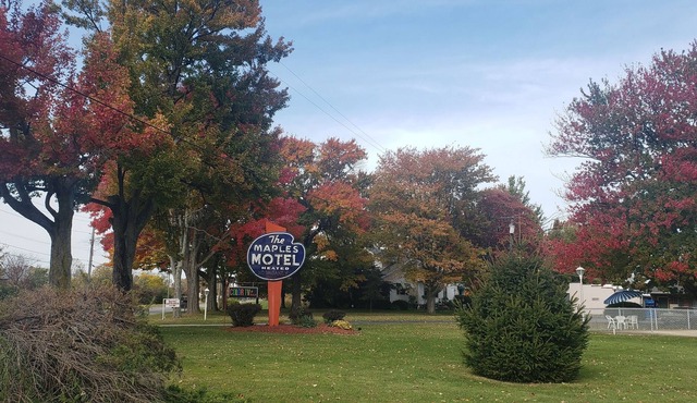 Maples Motel